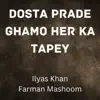 Dosta Prade Ghamo Her Ka Tapey (feat. Ilyas Khan) - Single album lyrics, reviews, download