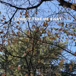 Cowboy Take Me Away - Single by Chill Blueberry album reviews, ratings, credits