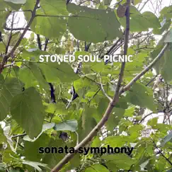 Stoned Soul Picnic Song Lyrics
