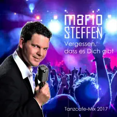 Vergessen, dass es Dich gibt - Single by Mario Steffen album reviews, ratings, credits