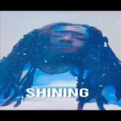 Shining - Single by Chop album reviews, ratings, credits