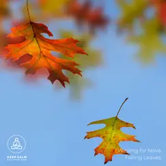 Falling Leaves (Sound Bath) Song Lyrics