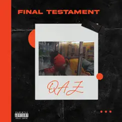 Final Testament - Single by Queen Allat ZigZagZIg album reviews, ratings, credits