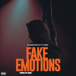 Fake emotions (feat. Shez) Song Lyrics