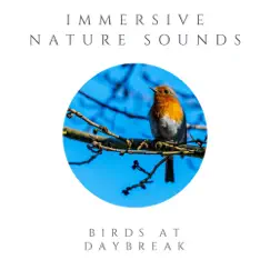 Birds At Daybreak - Single by Immersive Nature Sounds album reviews, ratings, credits