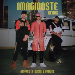 Imaginaste (Remix) Song Lyrics