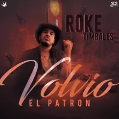 Volvió el Patrón by Roke Timbales & CDI RECORDS S.A. album reviews, ratings, credits