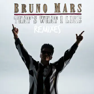 That's What I Like (Alan Walker Remix) - Single by Bruno Mars album download