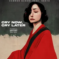 Cry now, cry later (feat. Anoyd) Song Lyrics