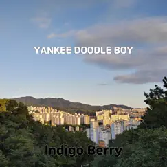 Yankee Doodle Boy - Single by Indigo Berry album reviews, ratings, credits