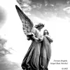 Angel (feat. FERRAN) - Single album lyrics, reviews, download
