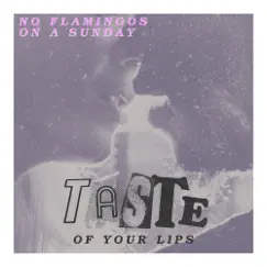 Taste of Your Lips - Single by No Flamingos on a Sunday album reviews, ratings, credits