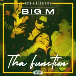 Tha Function - Single by Big M album reviews, ratings, credits
