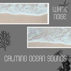 White Noise - Choppy Ocean, Loopable Song Lyrics