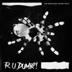 R U DUMB (feat. Hotboy Shaq) [Clean Version] Song Lyrics