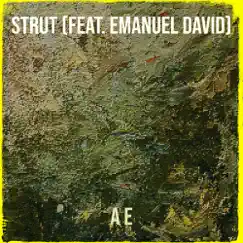 Strut - Single (feat. Emanuel David) - Single by A E album reviews, ratings, credits