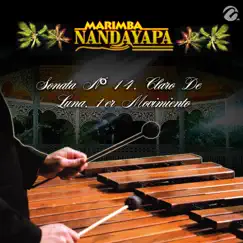 Sonata Nº 14, Claro De Luna, 1er Movimiento - Single by Marimba Nandayapa album reviews, ratings, credits