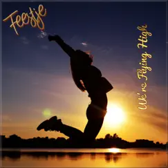 We're Flying High - Single by Feestje album reviews, ratings, credits