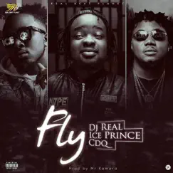 Fly - Single by DJ REAL, Ice Prince & CDQ album reviews, ratings, credits