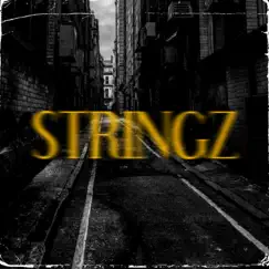 Stringz - Single by Des Beats album reviews, ratings, credits