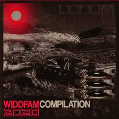 The Widdfam 2020 Compilation by SerpentEyes, The Widdler, Ziek, Loveless, Frost Effect, DJ Variant, 500 Micrograms, Aurcah, Doctor Healgood, Exectech, HashKey, Jabbs, Jour, J-Run, Kraken, Lykwid, Medicated, Moonsplatta, Zipse, Nahlith, Patrick Bandy, RetiredOrphan, Seek, Sling Wave, Suspenceful, Waylo, V Links, Tyderia, AdventureVirus, QuickSilverSting, Omstrb, Alpstone, WzrdStk, Abomnabl, Doms Gone, Sutehx, Verum, Hertz, Makak, R4ID & S E E N album reviews, ratings, credits