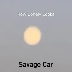 How Lonely Looks Song Lyrics