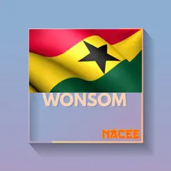 Wonsom - Single by Nacee album reviews, ratings, credits