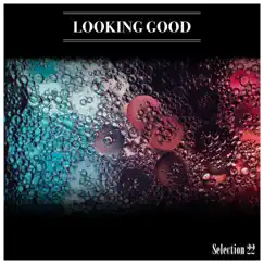 Looking Good Selection 22 by Mauro Pagliarino album reviews, ratings, credits