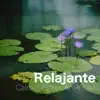 Relajante - Calmar Estres Ansiedad y Dolor de Cabeza album lyrics, reviews, download