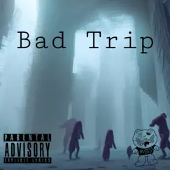 Bad Trip (feat. Michelangelo Skero & NVS) Song Lyrics