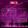 Sped up TikTok Remixes 2022, Vol. 3 album lyrics, reviews, download