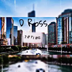Trying - Single by D'Ross album reviews, ratings, credits