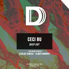 Deep Cut (Carlos Pineda Remix) Song Lyrics