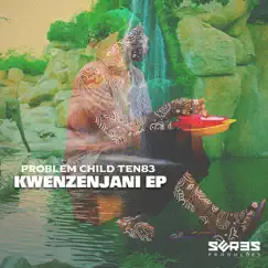 Kwenzenjani (DRMVL 22) Song Lyrics