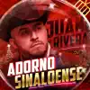 Adorno Sinaloense - Single album lyrics, reviews, download