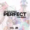 Perfect (feat. Dan Evens) - Single album lyrics, reviews, download