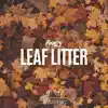 Leaf Litter - Single album lyrics, reviews, download