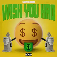 Wish You Had - Single by $irCLOUD album reviews, ratings, credits