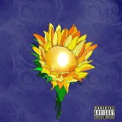 Sun Flower - Single by Odox album reviews, ratings, credits
