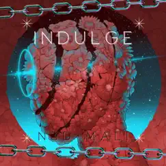 Indulge (feat. Malachi Masvaure) - Single by N3D.40y album reviews, ratings, credits