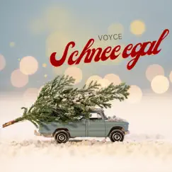 Schnee egal - Single by Voyce album reviews, ratings, credits