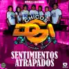 Sentimientos Atrapados - Single album lyrics, reviews, download