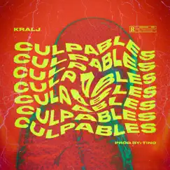 Culpables (feat. Tino DJ) Song Lyrics