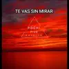 Te vas sin mirar - Single album lyrics, reviews, download