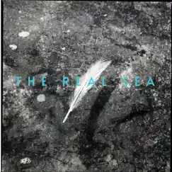 Ceiling Lines b/w Lodi - Single by The Real Sea album reviews, ratings, credits