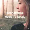 !!!" Instrumental Music to Study "!!! album lyrics, reviews, download