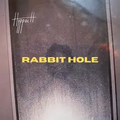 Rabbit Hole - Single by Hyppoch album reviews, ratings, credits