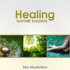 Healing Nature Sounds: Zen Meditation – Deep Contemplation, Relaxing Music After Hard Day and Sleep Problem, Sounds of Zen Garden, Serenity by Zen Soothing Sounds of Nature album reviews, ratings, credits