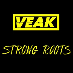 Strong Roots - Single by Veak album reviews, ratings, credits