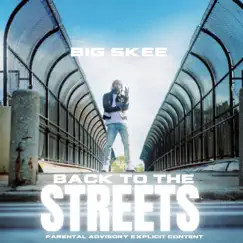 Back To the Streets - Single by SKEE album reviews, ratings, credits